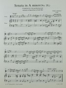 Notenbeispiel / Score example